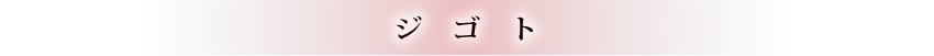 ジゴト